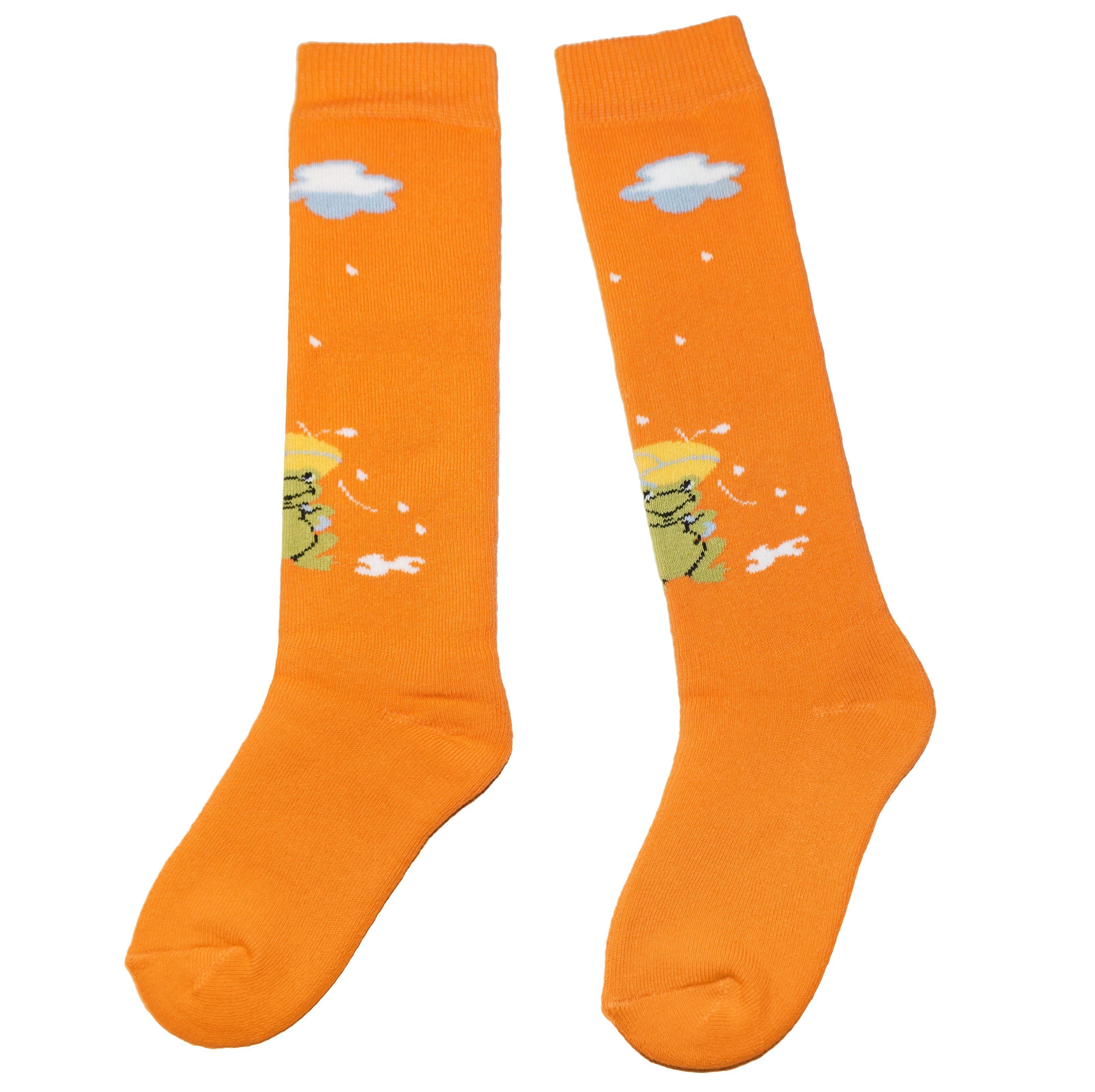Kids Weather Frog Terry Knee Socks
