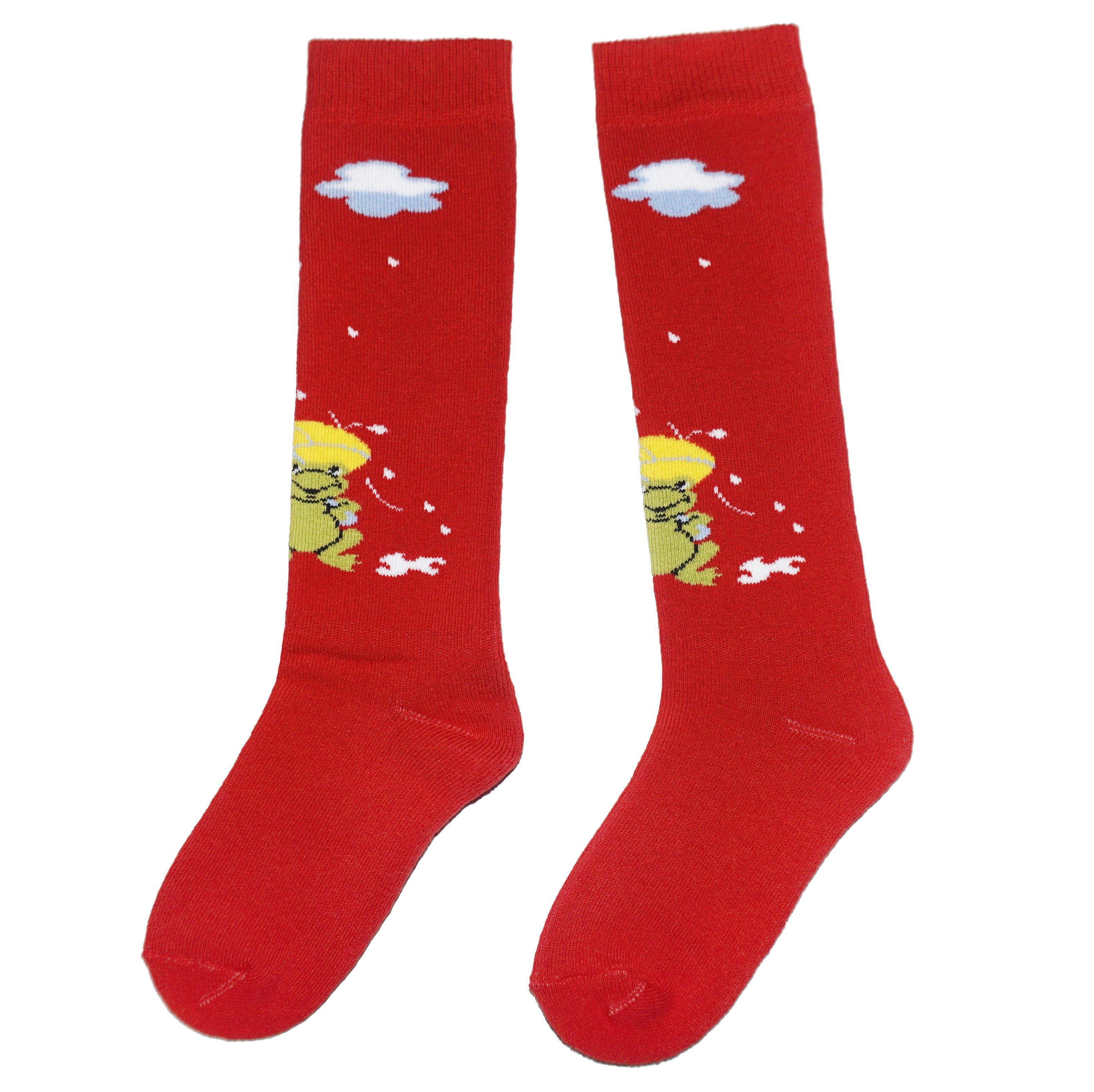 Kids Weather Frog Terry Knee Socks
